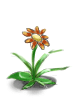 Fancy Flower
