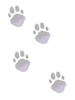 Cat Tread