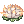 Flower Lily