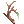 Ordinary Branch