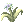 Flower Of Alfheim