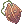 Seed Of Thorny Plant
