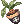 Mandragora Flowerpot