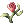 Heaven Flower
