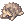 Raccoon Doll