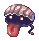 Shellfish