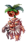 Hermit Plant