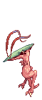 Novus