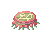 Plankton