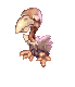 Condor