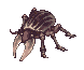 Horn