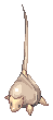 Stem Worm