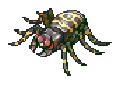 Giant Spider