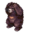 Zipper Bear