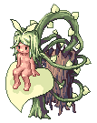 Parasite