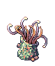 Hydra