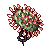 Drosera