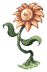 Yellow Flower