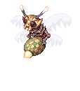 Luciola Vespa