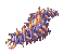 Centipede Larva